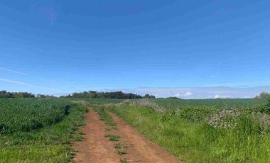 SE VENDE LINDO CAMPO EN MULCHEN