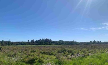 SE VENDE LINDO CAMPO EN MULCHEN