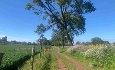 SE VENDE LINDO CAMPO EN MULCHEN