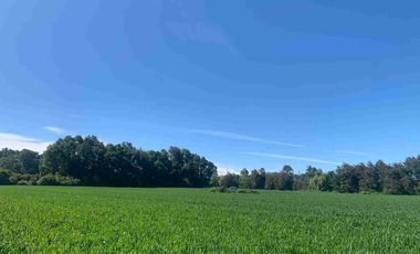 SE VENDE LINDO CAMPO EN MULCHEN