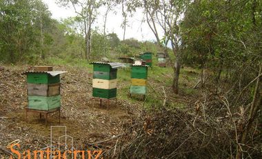 FINCA PRODUCTIVA AVÍCOLA