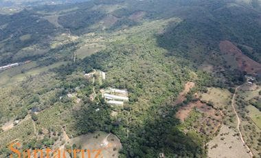 FINCA PRODUCTIVA AVÍCOLA