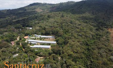 FINCA PRODUCTIVA AVÍCOLA
