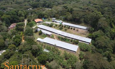 FINCA PRODUCTIVA AVÍCOLA