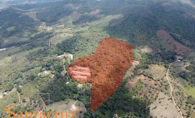 FINCA PRODUCTIVA AVÍCOLA