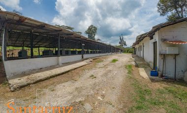 FINCA PRODUCTIVA AVÍCOLA