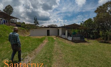 FINCA PRODUCTIVA AVÍCOLA