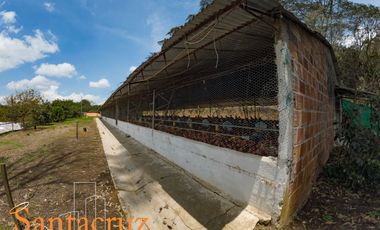 FINCA PRODUCTIVA AVÍCOLA