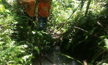 FINCA PRODUCTIVA AVÍCOLA