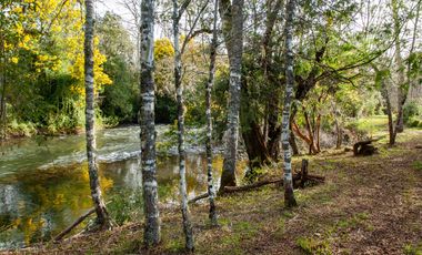 Rio Cruces Agua Y Luz, Entrega Inmediata