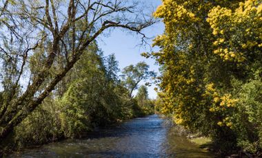Rio Cruces Agua Y Luz, Entrega Inmediata