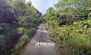 ที่ดินพร้อมรีสอร์ทสไตล์ล้านนา-บาหลี ตำบลป่าซาง อำเภอแม่จัน จังหวัดเชียงราย