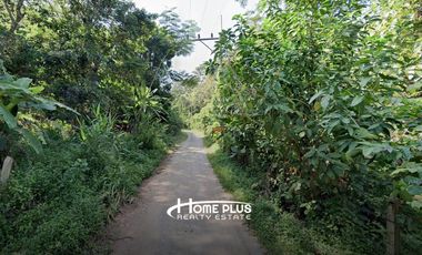ที่ดินพร้อมรีสอร์ทสไตล์ล้านนา-บาหลี ตำบลป่าซาง อำเภอแม่จัน จังหวัดเชียงราย