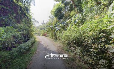 ที่ดินพร้อมรีสอร์ทสไตล์ล้านนา-บาหลี ตำบลป่าซาง อำเภอแม่จัน จังหวัดเชียงราย