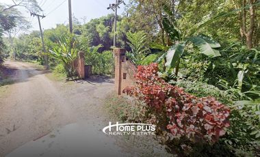 ที่ดินพร้อมรีสอร์ทสไตล์ล้านนา-บาหลี ตำบลป่าซาง อำเภอแม่จัน จังหวัดเชียงราย