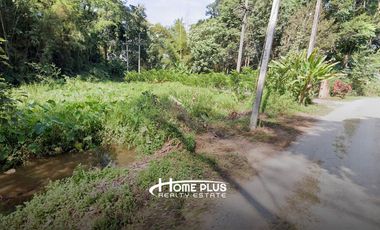 ที่ดินพร้อมรีสอร์ทสไตล์ล้านนา-บาหลี ตำบลป่าซาง อำเภอแม่จัน จังหวัดเชียงราย