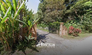 ที่ดินพร้อมรีสอร์ทสไตล์ล้านนา-บาหลี ตำบลป่าซาง อำเภอแม่จัน จังหวัดเชียงราย