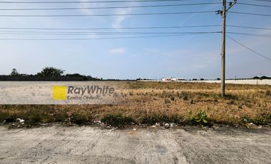 Tanah Industri Sudah Padat Tembok Keliling Di Brebes Jawa Tengah