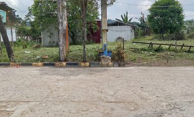 DIJUAL.TANAH STRATEGIS. JL JAKARTA - SUNGAI KUNJANG