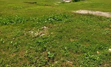 (ICL) Dijual Tanah – Lokasi Strategis di Pasirgombong, Cikarang Utara