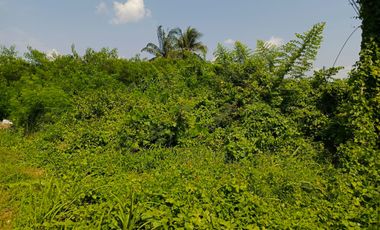 JUAL Lahan 4331 Jalan Haji Barlian Seberang Asrama Haji Palembang