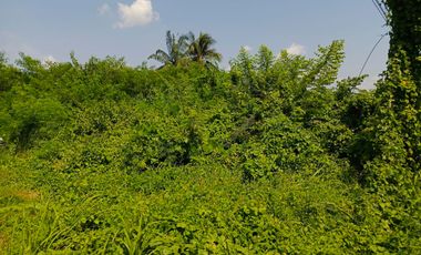 JUAL Lahan 4331 Jalan Haji Barlian Seberang Asrama Haji Palembang