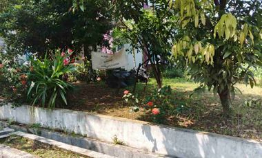 Rumah Strategis Posisi Hook di Bukit Cimanggu City Bogor