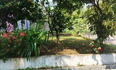 Rumah Strategis Posisi Hook di Bukit Cimanggu City Bogor