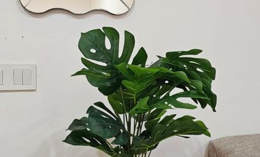 DISEWAKAN RUMAH GOLF ISLAND CLUSTER SYMPHONY 6X15 FULL FURNISH