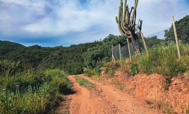 Parcelas Las Tonadas