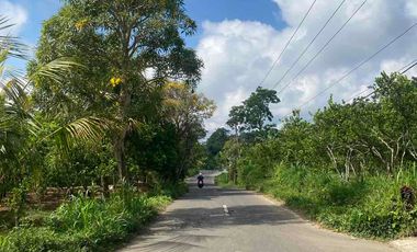 jual tanah payangan dekat Ubud gianyar