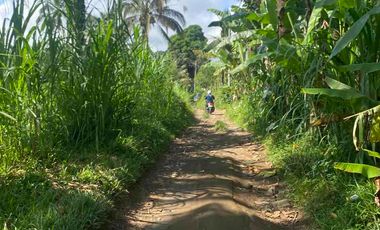 jual tanah payangan dekat Ubud gianyar
