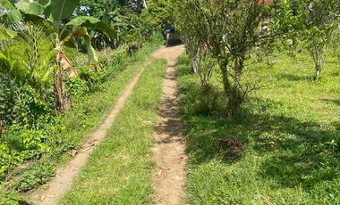 jual tanah payangan dekat Ubud gianyar