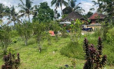 jual tanah payangan dekat Ubud gianyar