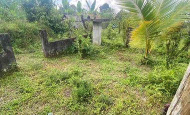 jual tanah payangan dekat Ubud gianyar