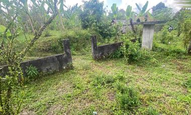 jual tanah payangan dekat Ubud gianyar