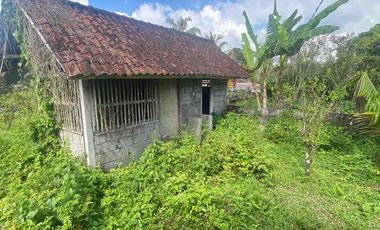 jual tanah payangan dekat Ubud gianyar