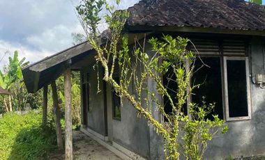 jual tanah payangan dekat Ubud gianyar