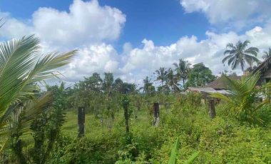 jual tanah payangan dekat Ubud gianyar