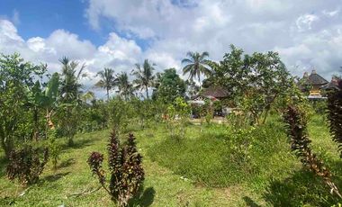 jual tanah payangan dekat Ubud gianyar