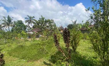 jual tanah payangan dekat Ubud gianyar