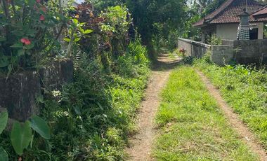 jual tanah payangan dekat Ubud gianyar