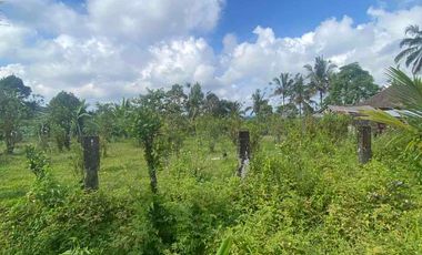 jual tanah payangan dekat Ubud gianyar