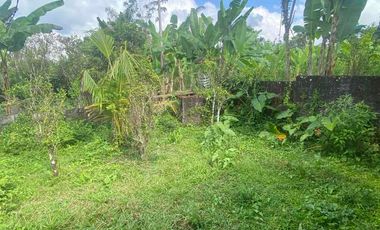 jual tanah payangan dekat Ubud gianyar