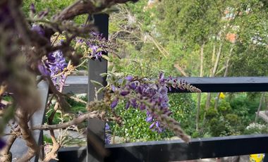 ACOGEDORA CASA DE UN PISO