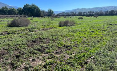 Parcelas con Rol Propio, Agua y Luz en Polpaico
