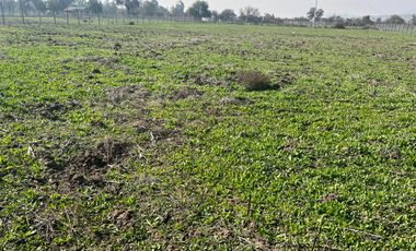 Parcelas con Rol Propio, Agua y Luz en Polpaico