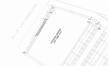 Renta de terreno en Blvd. Carmelitas esquina santa Isabel