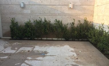 Bosques Cedros casa en renta mantenimiento incluido