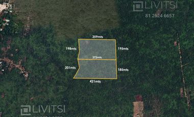 Terreno en Venta en Venta  en Seye